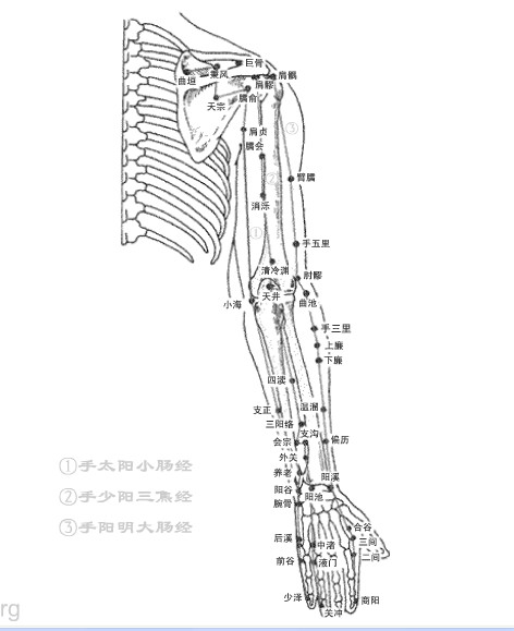 厥俞穴