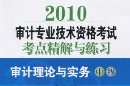 審計理論與實務（中級）(2010審計專業技術資格考試考點精解與練習：審計理論與實務·中級)