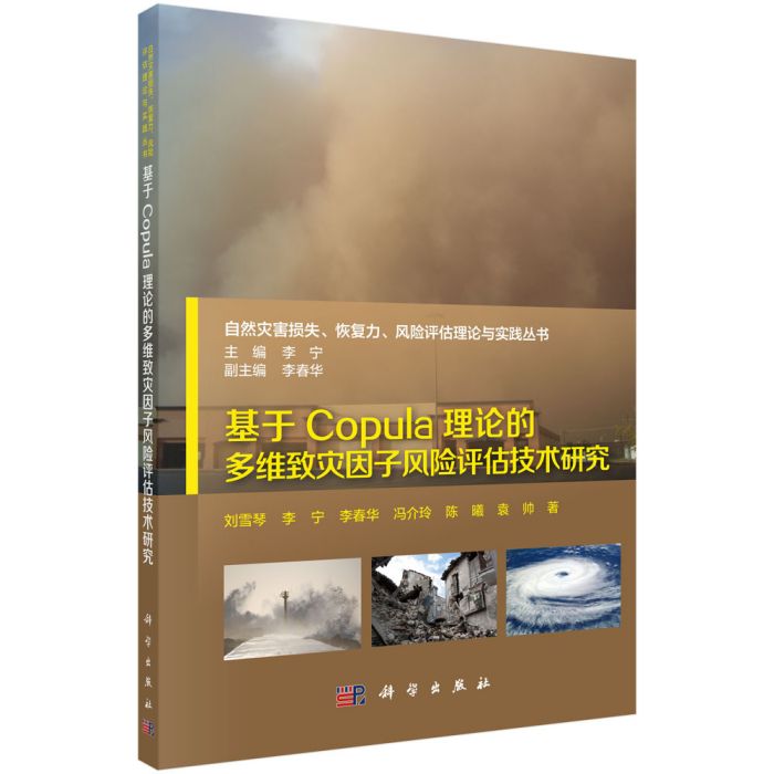 基於Copula理論的多維致災因子風險評估技術研究