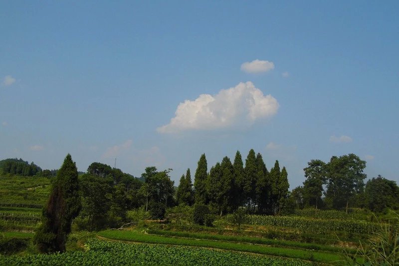 新場合水村