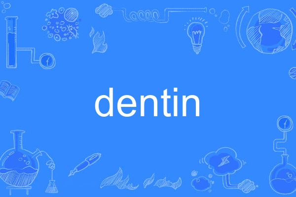 dentin