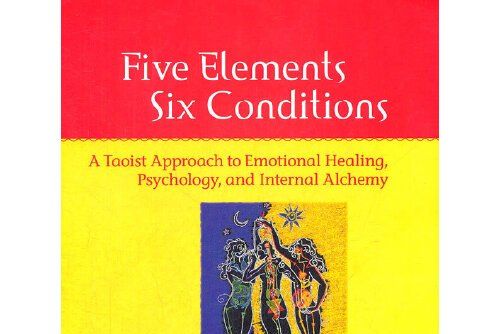 FIVE ELEMENTS SIX CONDITIONS