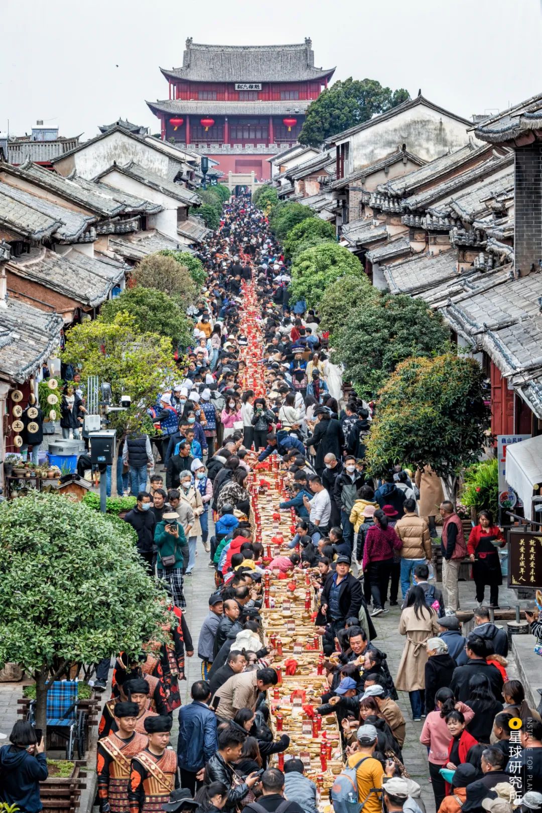 雲南人一定站在食物鏈頂端吧！