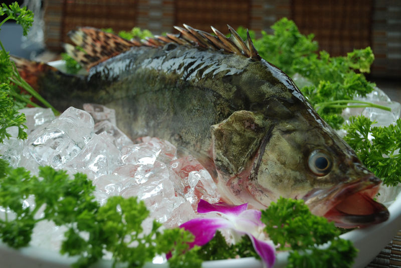 桂花鱸烹飪