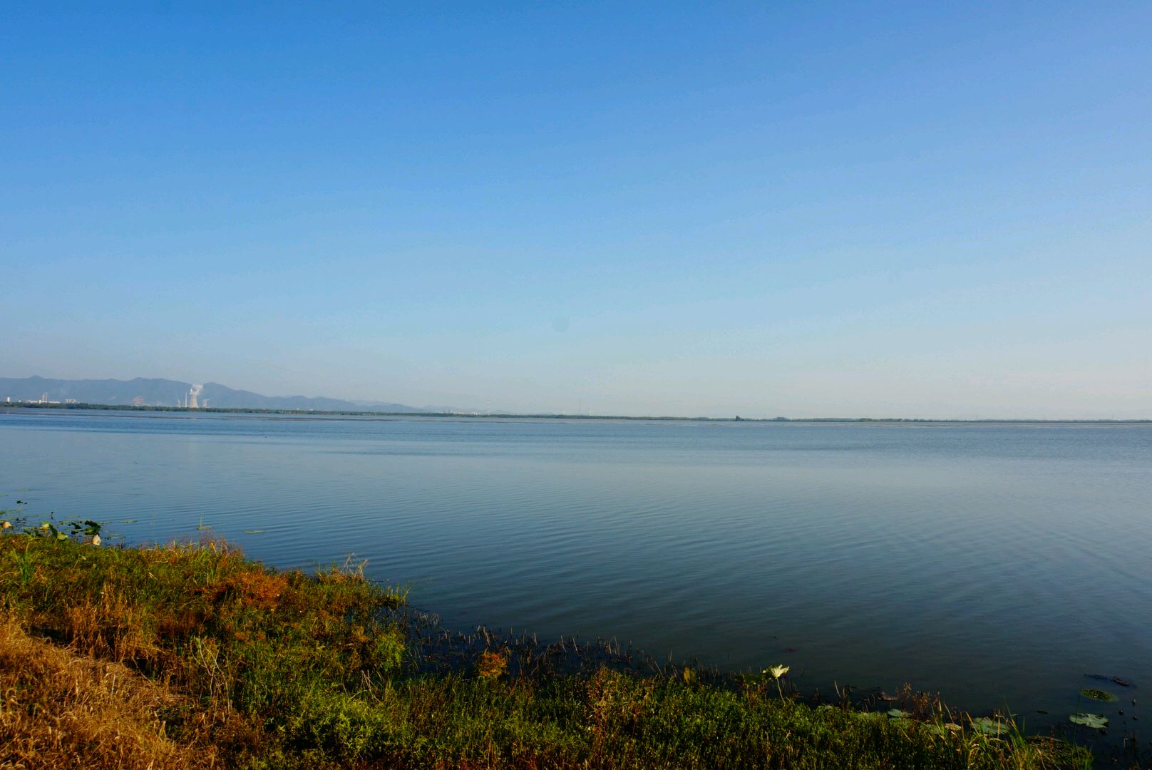 陳瑤湖鎮