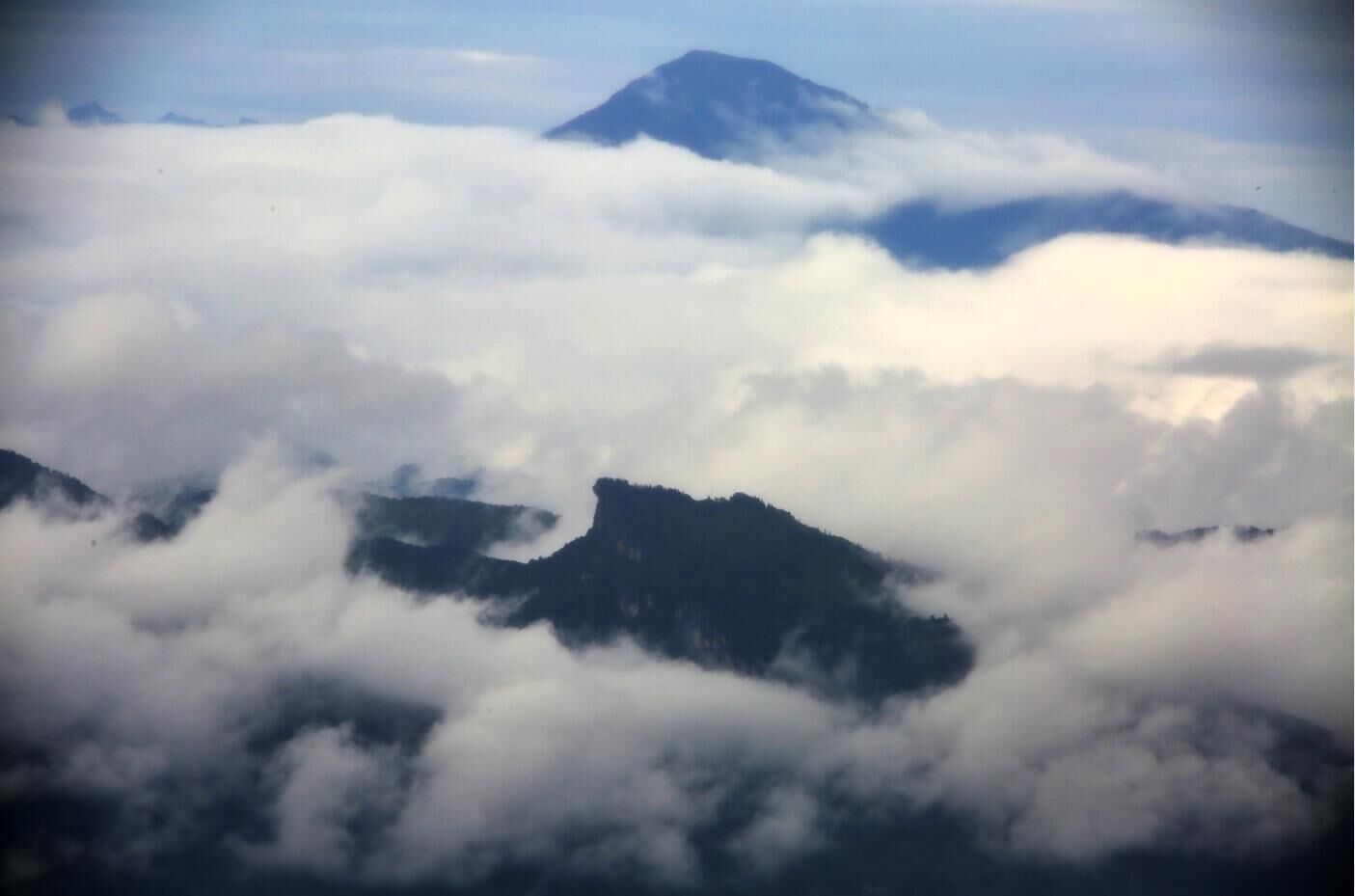 龍坪山大懶蟲