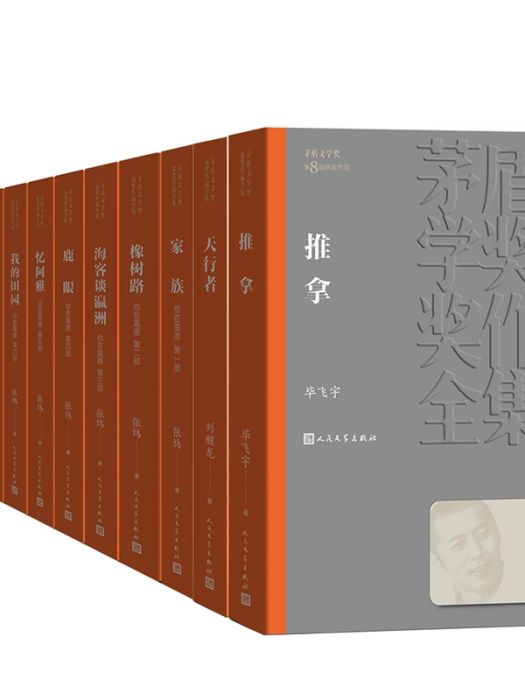 推拿(2008年人民文學出版社出版的圖書)