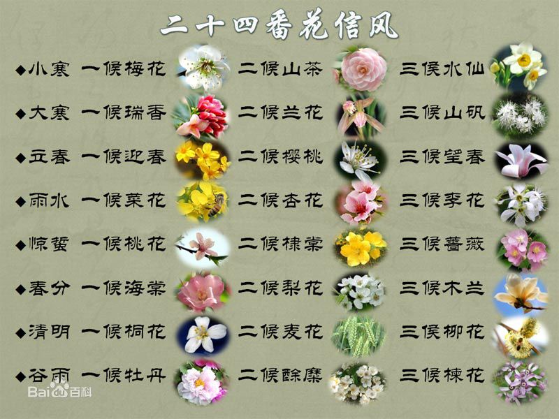 二十四番花信