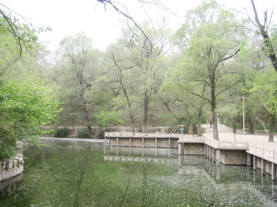 平涼柳湖公園