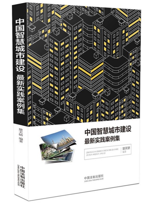 中國智慧城市建設最新實踐案例集