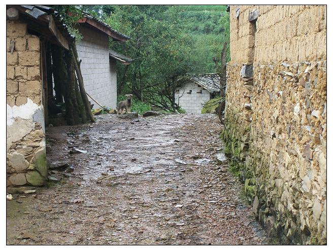 香竹嶺乾自然村通村道路