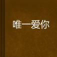 唯一愛你(小說)