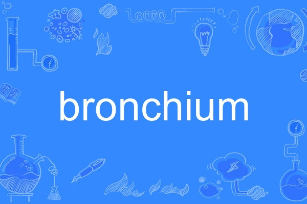 bronchium