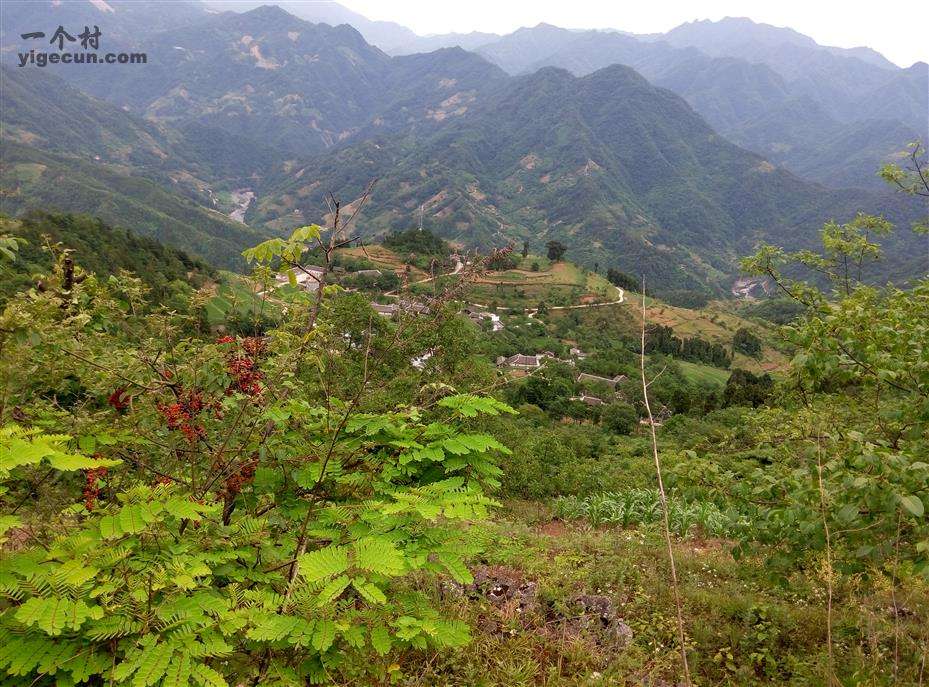 元山村(峨山縣甸中鎮白土村民委員會下轄村)