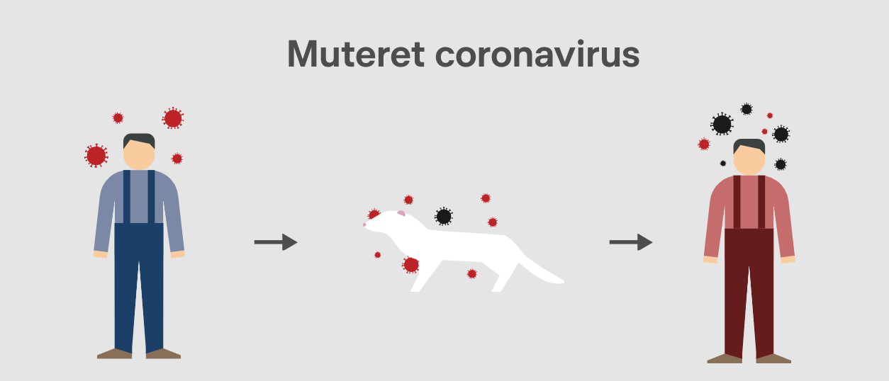 cluster 5