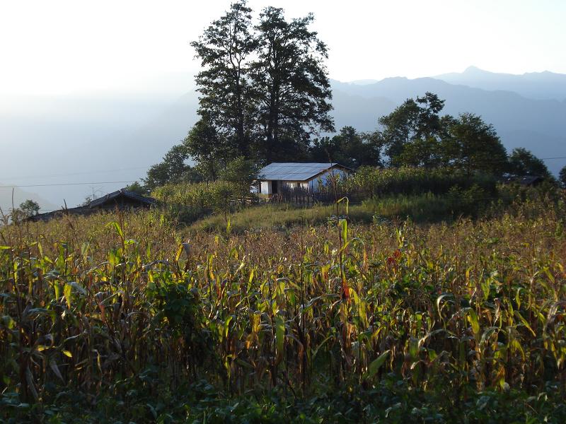 那米村