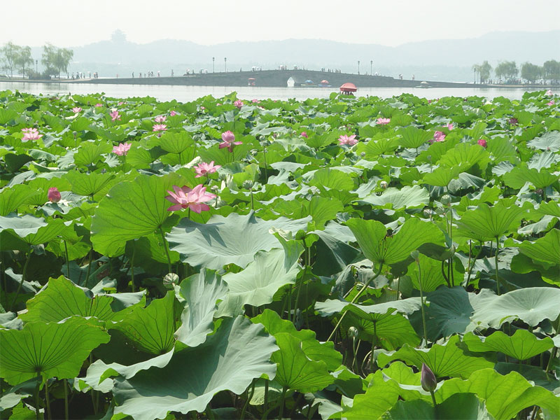 2010十大休閒城市