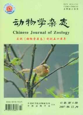 動物學雜誌