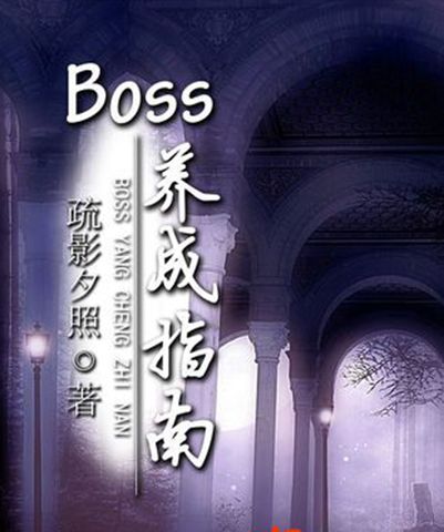 BOSS養成指南