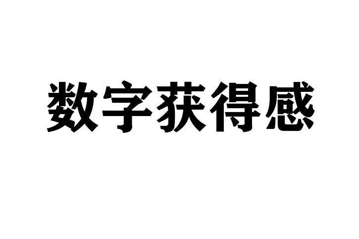 數字獲得感