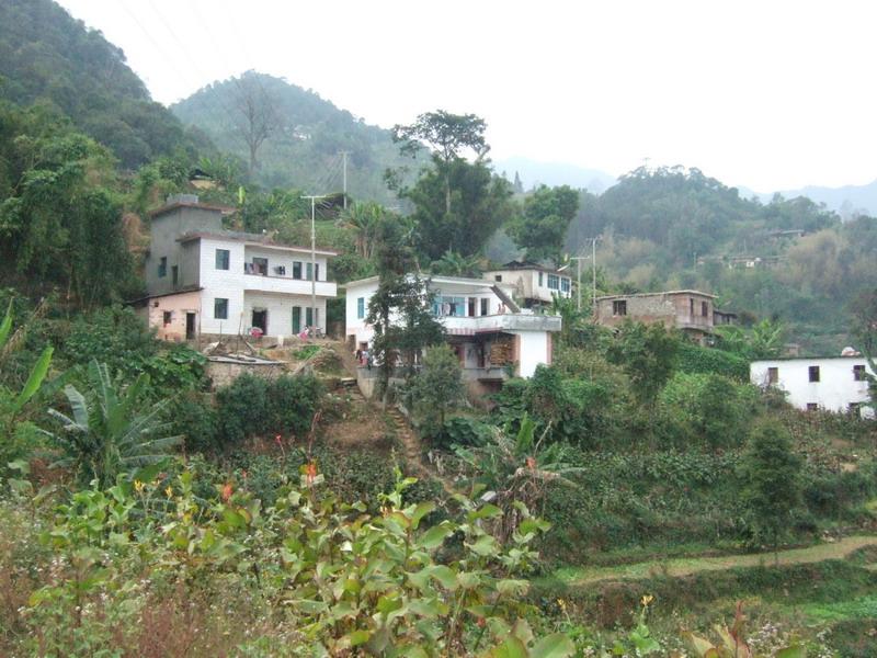 靛塘村(雲南元陽縣大坪鄉下轄村)