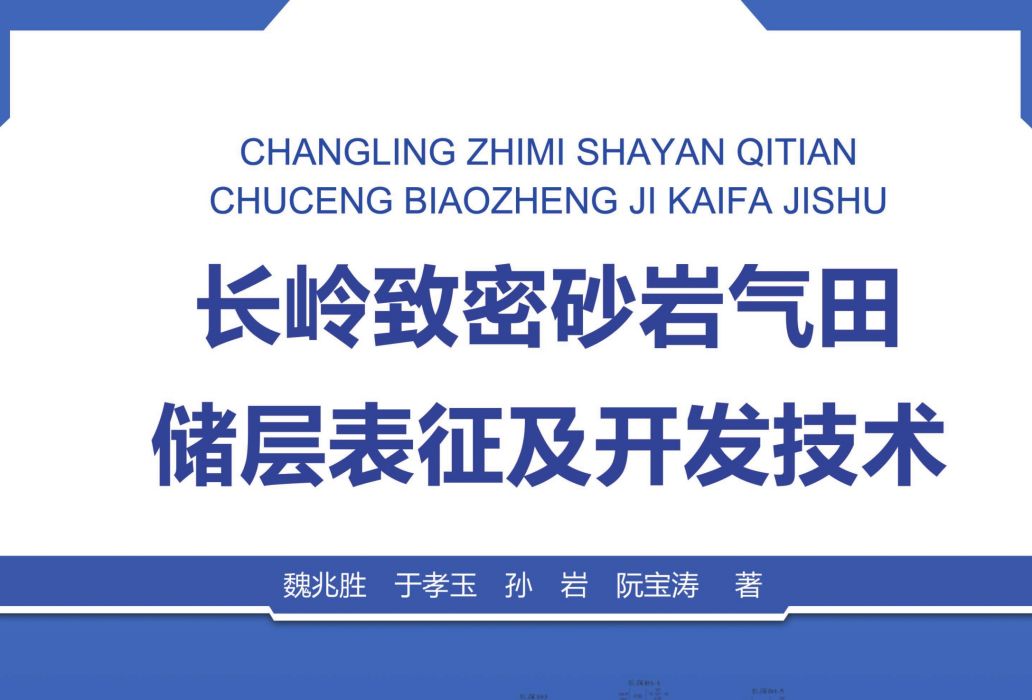 長嶺緻密砂岩氣田儲層表征及開發技術