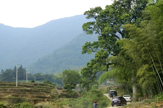 大華山村(1、江西省樂安縣寺灣鎮下轄村)