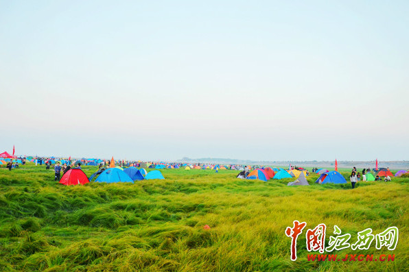 鄱陽湖國家濕地公園帳篷觀鳥季