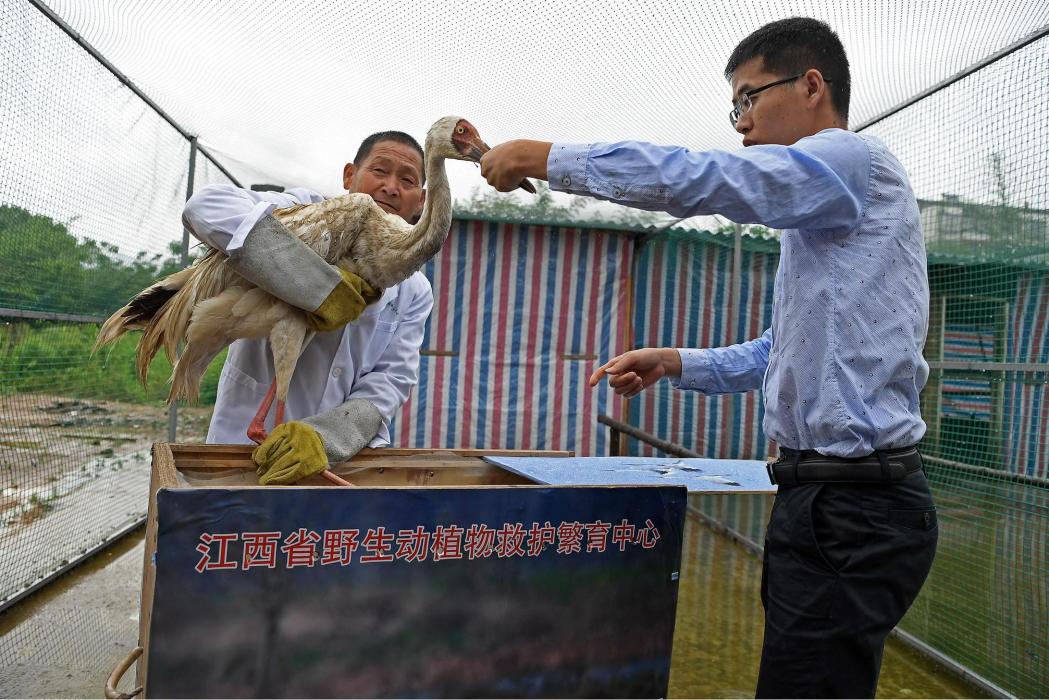 江西省野生動植物救護繁育中心