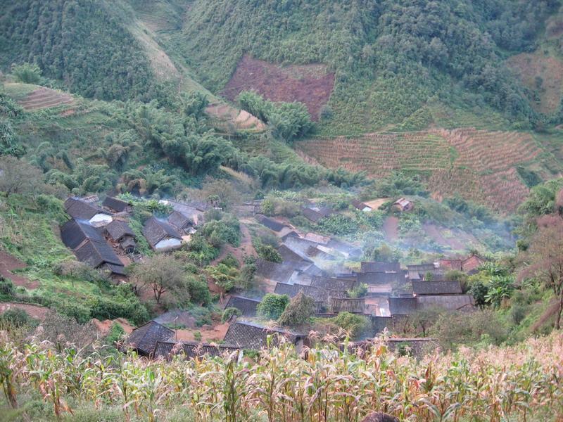 樹根自然村