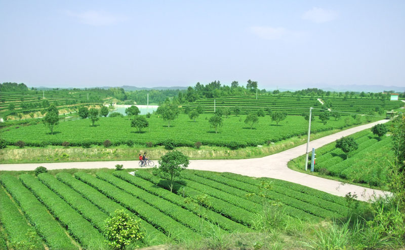 湘豐飛躍基地