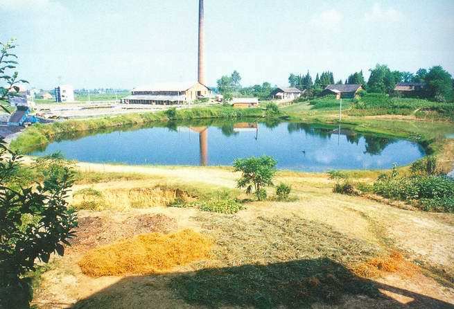 十里崗遺址