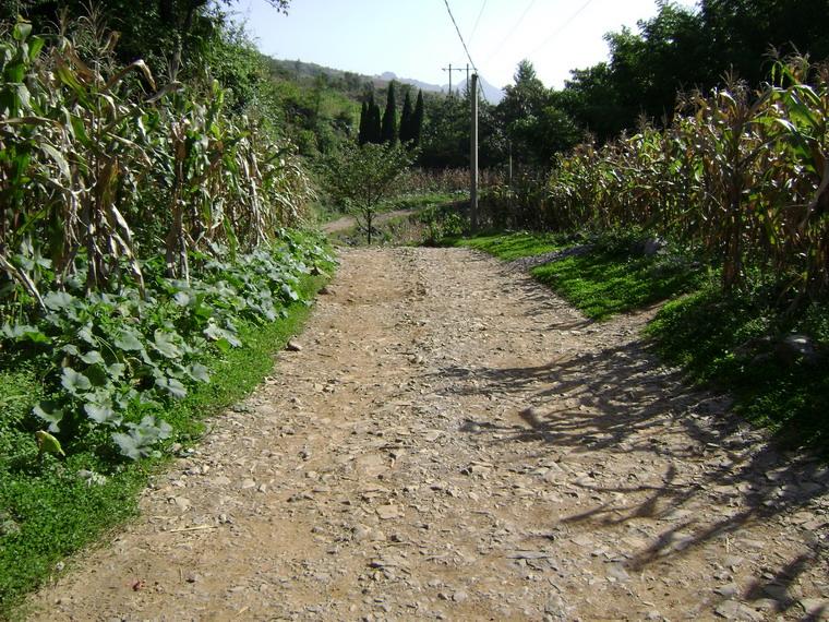 進村道路