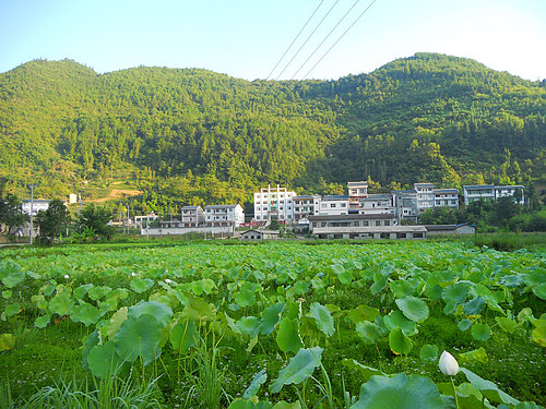 古路鎮(重慶市渝北區轄鎮)