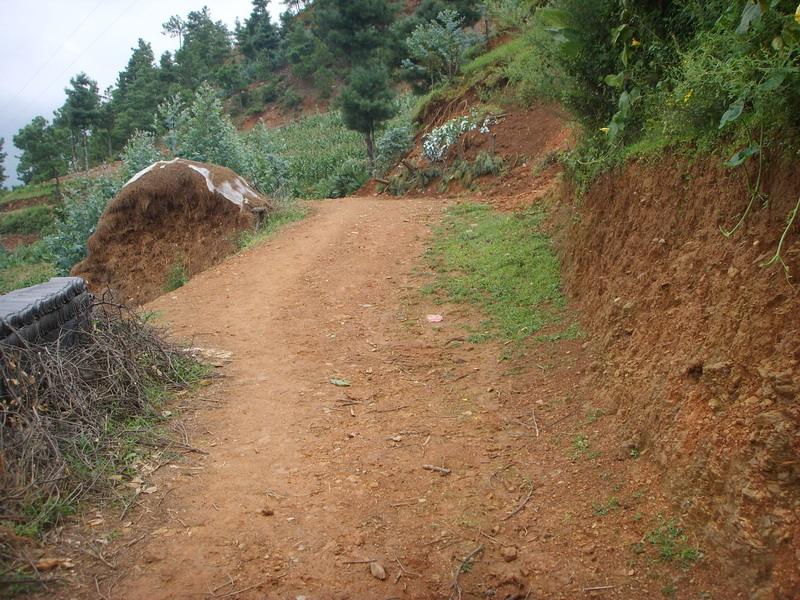 楚雄市樹苴鄉九街村委會箐中村進村道路