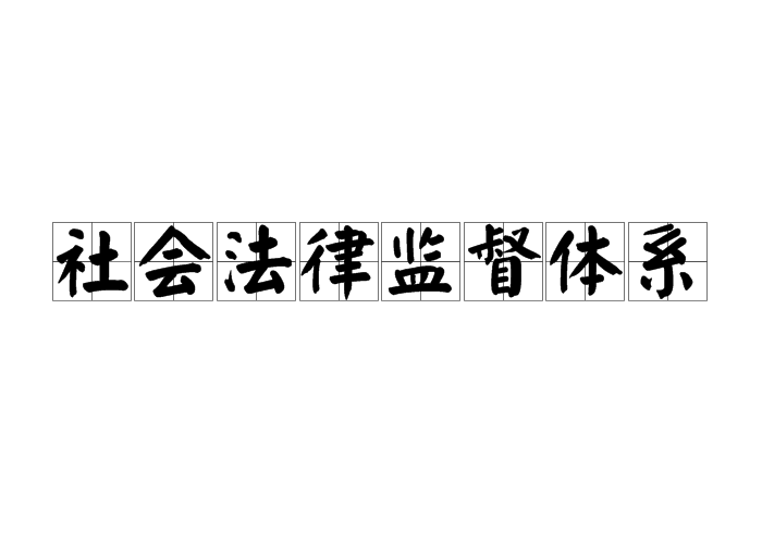 社會法律監督體系