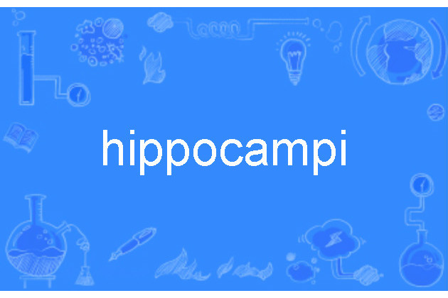 hippocampi