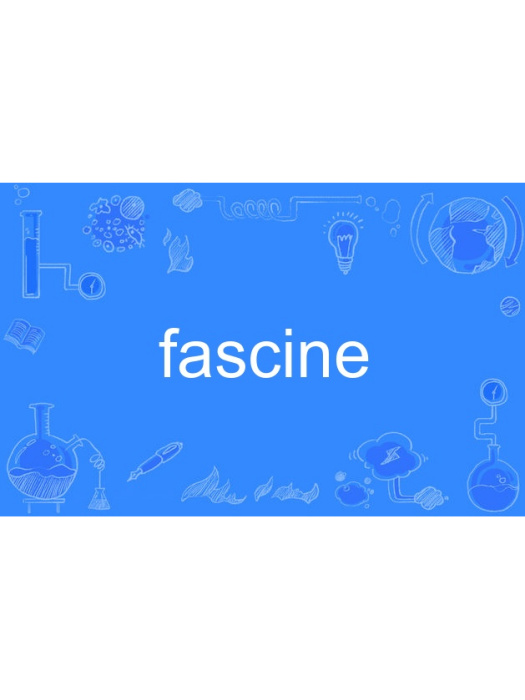 fascine