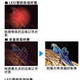 全息自動對焦