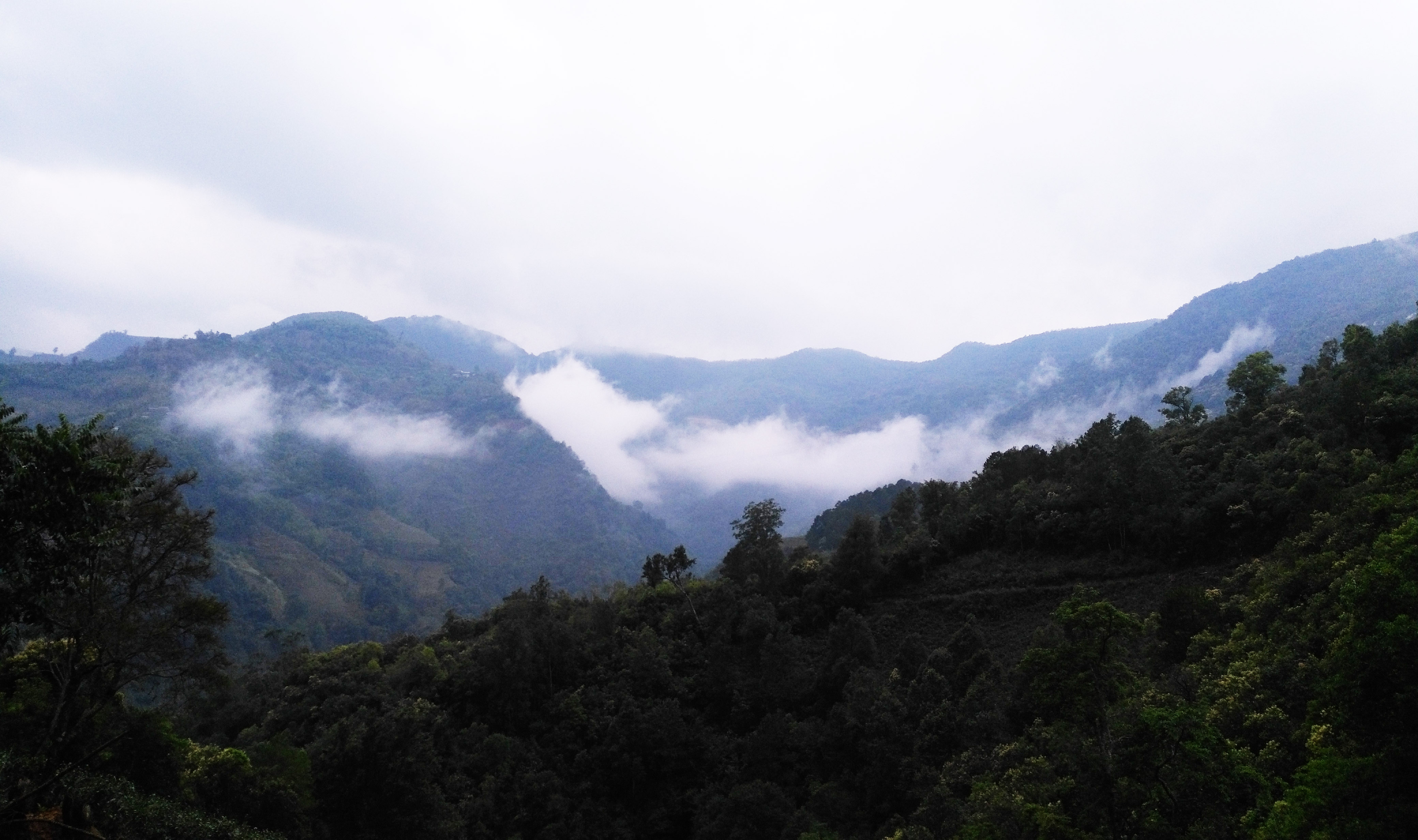 茶山遠景