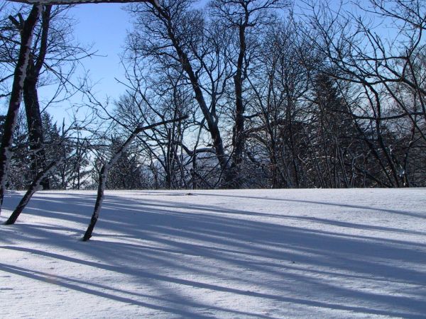 雪地