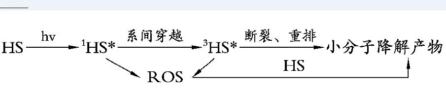 水生腐殖質