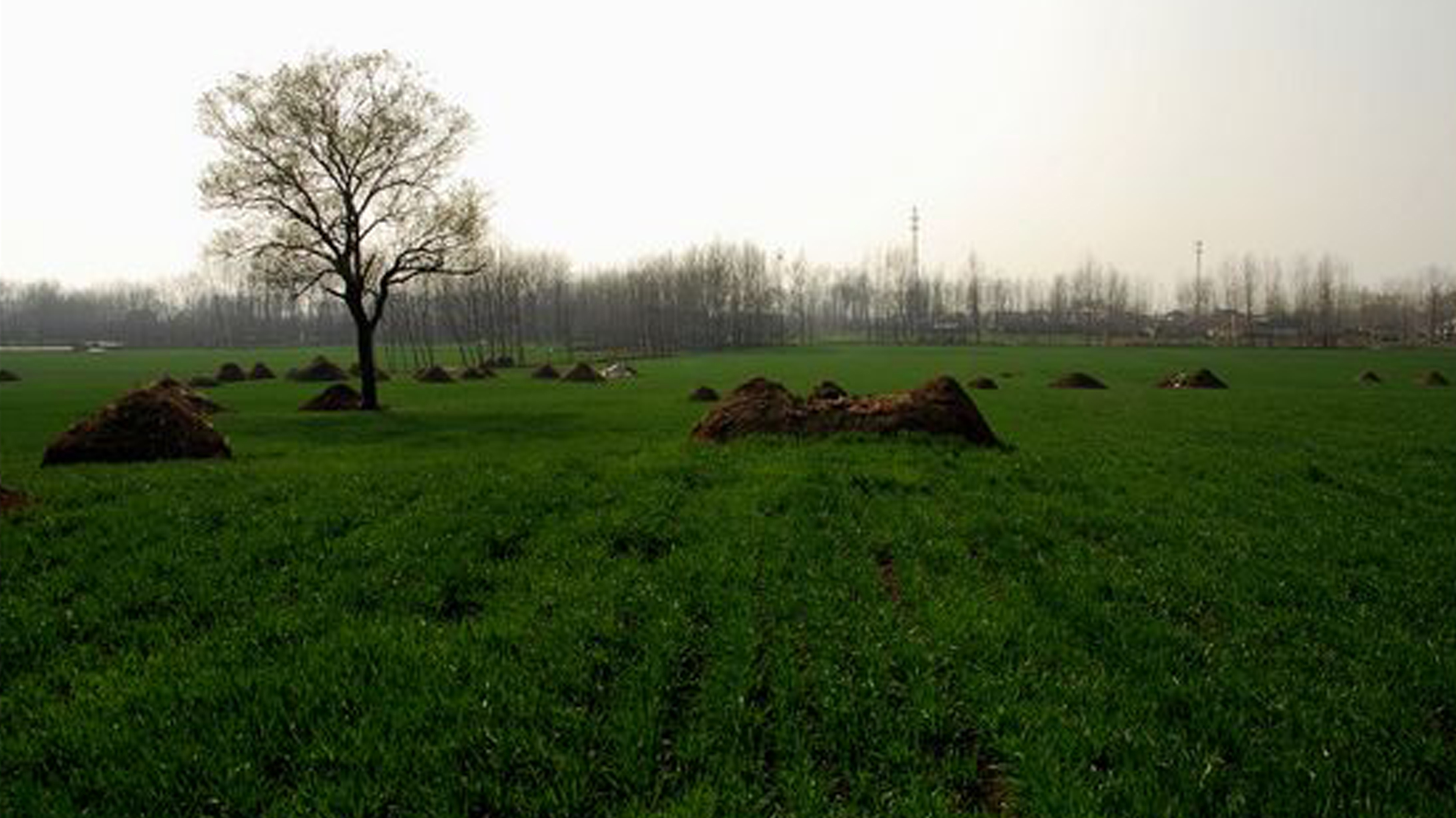 大墩子遺址