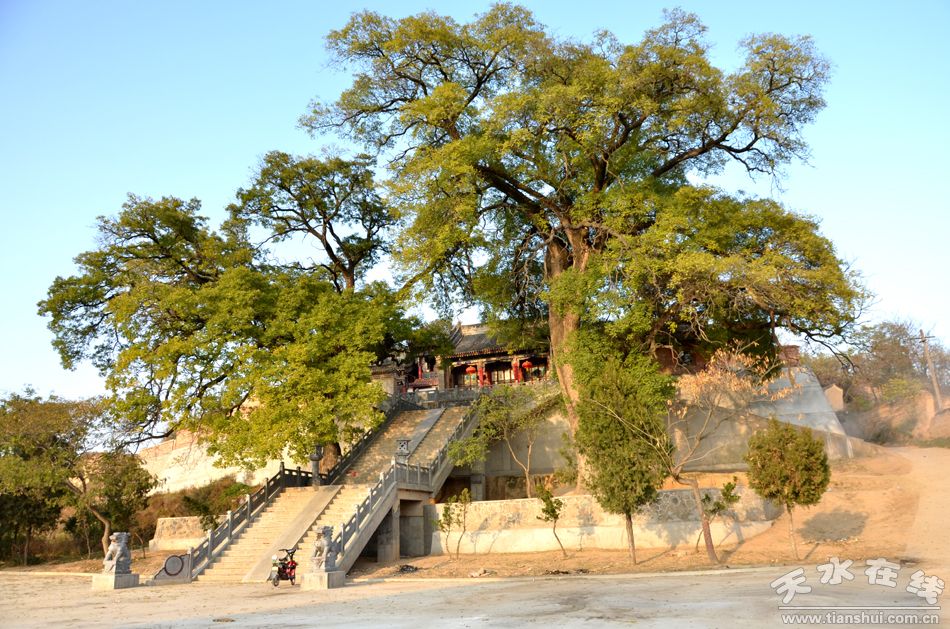 龍頭寺