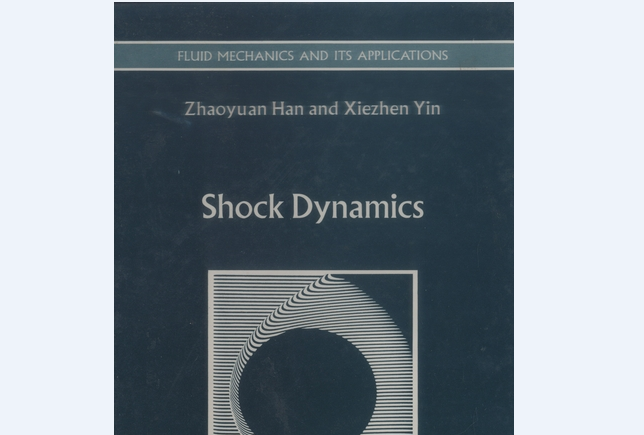 Shock Dynamics