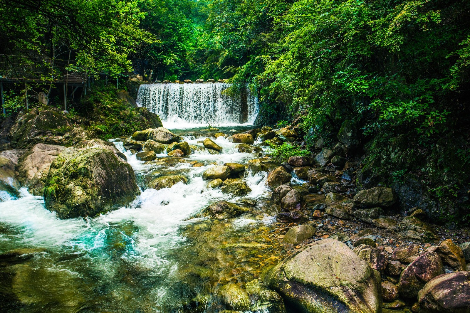 醉山野