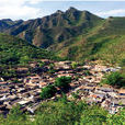 嶺西村(山西省陵川縣附城鎮下轄村)