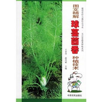 圖文精解球莖茴香種植技術