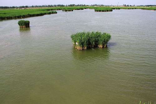 鶴泉湖(永寧鶴泉湖)