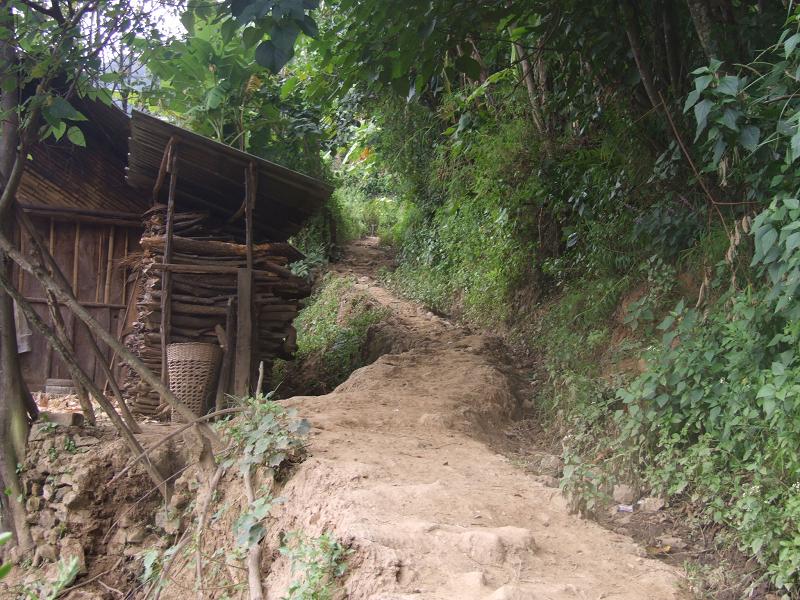 市尺地自然村的進村道路情況